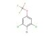2-bromo-1,3-dichloro-5-(trifluoromethoxy)benzene