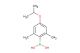2,6-dimethyl-4-isopropoxyphenylboronic acid