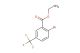 2-bromo-5-(trifluoromethyl)benzoic acid ethyl ester