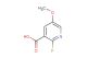 2-fluoro-5-methoxypyridine-3-carboxylic acid
