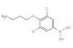 4-butoxy-3,5-dichlorophenylboronic acid