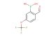 2-formyl-5-(trifluoromethoxy)phenylboronic acid