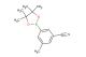 3-methyl-5-(4,4,5,5-tetramethyl-1,3,2-dioxaborolan-2-yl)benzonitrile