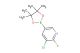 3-chloro-2-fluoro-5-(4,4,5,5-tetramethyl-1,3,2-dioxaborolan-2-yl)pyridine