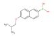 6-(2-methylpropoxy)-2-naphthaleneboronic acid