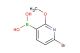 6-bromo-2-methoxypyridin-3-ylboronic acid