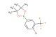 2-(4-bromo-3-(trifluoromethyl)phenyl)-4,4,5,5-tetramethyl-1,3,2-dioxaborolane