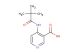 4-(2,2,2-trimethylacetamino)pyridine-3-carboxylic acid