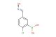 2-chloro-5-(hydroxyiminomethyl)phenylboronic acid