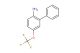 2-amino-5-(trifluoromethoxy)biphenyl