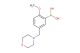 2-methoxy-5-(morpholinomethyl)phenylboronic acid
