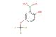 2-hydroxy-5-(trifluoromethoxy)phenylboronic acid