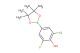 2-chloro-6-fluoro-4-(4,4,5,5-tetramethyl-1,3,2-dioxaborolan-2-yl)phenol