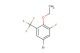 5-bromo-2-ethoxy-1-fluoro-3-(trifluoromethyl)benzene