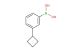 3-cyclobutylphenylboronic acid