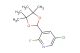 5-chloro-2-fluoro-3-(4,4,5,5-tetramethyl-1,3-dioxolan-2-yl)pyridine