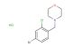 4-[(bromo-2-chlorophenyl)methyl]morpholine hydrochloride