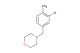 4-(3-bromo-4-methylbenzyl)morpholine
