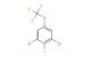 1,3-dichloro-2-iodo-5-(trifluoromethoxy)benzene