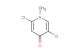 2,5-dichloro-1-methylpyridin-4(1H)-one