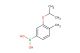 (3-isopropoxy-4-methylphenyl)boronic acid