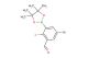 5-bromo-2-fluoro-3-(4,4,5,5-tetramethyl-1,3,2-dioxaborolan-2-yl)benzaldehyde