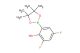 2,4-difluoro-6-(4,4,5,5-tetramethyl-1,3,2-dioxaborolan-2-yl)phenol