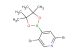 2,5-dibromo-4-(4,4,5,5-tetramethyl-1,3,2-dioxaborolan-2-yl)pyridine