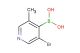 5-bromo-3-methylpyridine-4-boronic acid