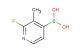 2-fluoro-3-methylpyridine-4-boronic acid