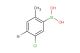 4-bromo-5-chloro-2-methylphenylboronic acid