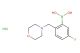 5-fluoro-2-(morpholinomethyl)phenylboronic acid hydrochloride