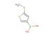 2-(methylthio)thiophene-4-boronic acid