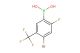 4-bromo-2-fluoro-5(trifluoromethyl)phenylboronic acid