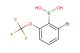 (2-bromo-6-(trifluoromethoxy)phenyl)boronic acid