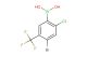 4-bromo-2-chloro-5-(trifluoromethyl)phenylboronic acid