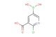 3-carboxy-2-chloropyridine-5-boronic acid