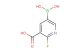 2-fluoro-3-carboxypyridine-5-boronic acid