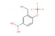 3-hydroxymethyl-4-(trifluoromethoxy)phenylboronic acid