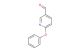 6-Phenoxypyridine-3-carboxaldehyde