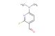 6-(dimethylamino)-2-fluoronicotinaldehyde