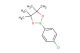 2-(4-chlorophenyl)-4,4,5,5-tetramethyl-1,3,2-dioxaborolane