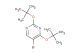 5-bromo-2,4-di(tert-butoxy)pyrimidine