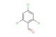 2,4,6-trichlorobenzaldehyde