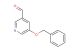 5-benzyloxypyridine-3-carbaldehyde