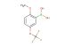 2-methoxy-5-trifluoromethoxyphenylboronic acid