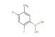 4-chloro-2-fluoro-5-methylphenylboronic acid