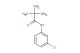 N-(3-chloro-phenyl)-2,2-dimethyl-propionamide