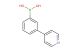 [3-(pyridin-4-yl)phenyl]boronic acid