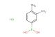 3-amino-4-methylphenylboronic acid hydrochloride